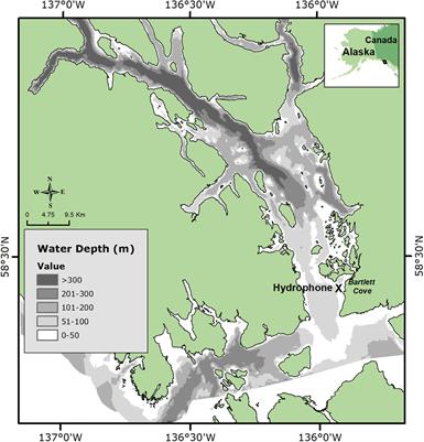 Underwater Sound Levels in Glacier Bay During Reduced Vessel Traffic Due to the COVID-19 Pandemic